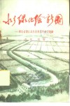 水乡绿化绘新图  湖北省潜江县发展林业的典型经验 封面