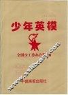 少年英模 电子书封面
