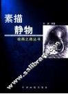 素描静物 封面