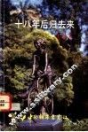 十八年后归去来 封面