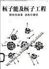 核子能及核子工程 封面