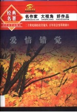 爱情错觉 封面