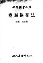 树脂嵌花法 电子书封面