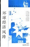 环球经济风涛 封面