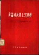 多晶硅及其工艺过程 封面
