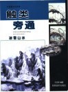 触类旁通  中国画技法新解  冰雪山水 封面