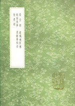 隋遗录 封面