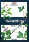 楚辞植物图鉴 封面