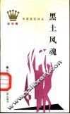 黑土风魂 封面