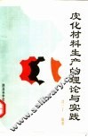 皮化材料生产的理论与实践 封面