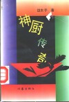 神厨传奇 封面