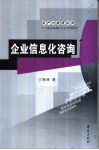 企业信息化咨询 封面
