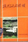 振兴石化的楷模  中国石化总公司先进集体和劳动模范事迹选编 封面