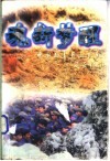 魂断梦醒 中国知青上山下乡风云纪实 封面