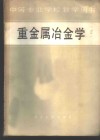 重金属冶金学 电子书封面
