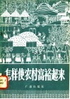 怎样使农村富裕起来  广播对话 封面