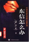 中国经济发展的关键时刻:东信怎么办 封面