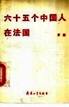 六十五个中国人在法国 封面