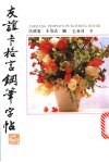 友谊卡格言钢笔字帖 封面
