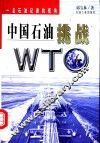 中国石油挑战WTO 一名石油记者的视角 封面