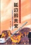 延边的未来  21世纪初叶中国模范自治州形象研究与设计 封面