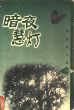 暗夜慧灯 封面