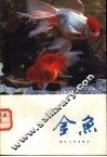 金鱼 封面