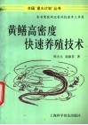黄鳝高密度快速养殖技术 封面