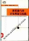 新星油气田开发理论与实践 封面
