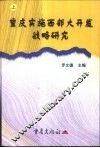 重庆实施西部大开发战略研究 封面