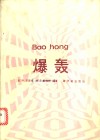 爆轰 电子书封面