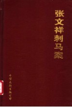 刺马详情 封面