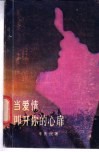 当爱情叩开你的心扉 封面