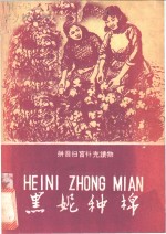 黑妮种棉 封面