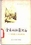金色的拉萨河谷-康藏公路诗选 封面