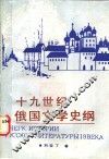 十九世纪俄国文学史纲 封面