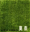 莫奈  1840-1926 封面