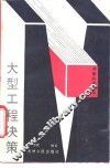 大型工程决策 封面