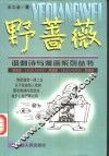 野蔷薇 电子书封面