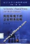 风险环境下的企业财务战略 封面