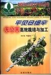 平贝母细辛无公害高效栽培与加工 封面
