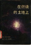在燃烧的土地上  抗战文学的足迹 封面