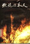 燃烧的春天  大兴安岭林区职工朴火救灾英雄谱 封面