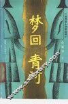 梦回青河 封面