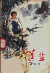 送盐 封面