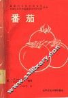 番茄 封面