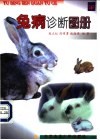 兔病诊断图册 封面