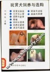玩赏犬饲养与选购 封面