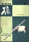 猪  上 封面