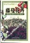 藤蔓花卉  攀援匍匐垂吊观赏植物 封面